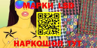 spice Обнинск