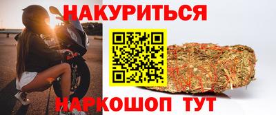 spice Обнинск