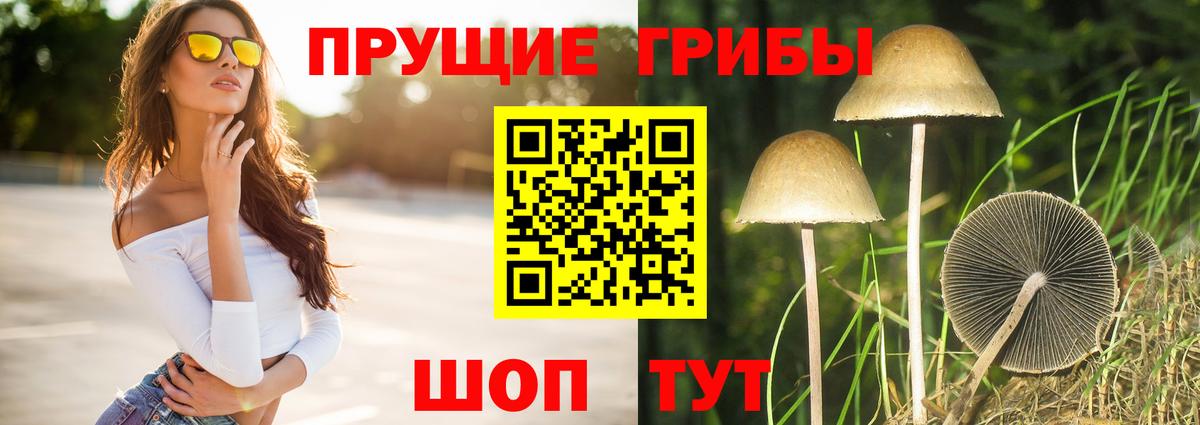 Псилоцибиновые грибы Psilocybe  Вход с VPN  Галлюциногенные грибы мицелий  Сосновоборск 
