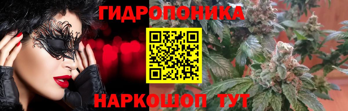 Шишки марихуана семена Сосновоборск